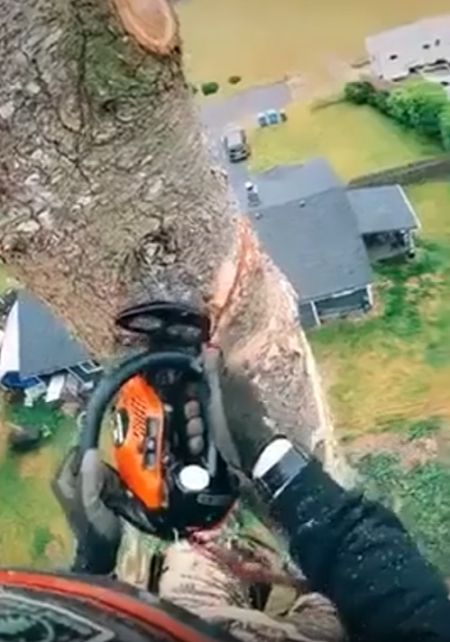 Задача - отпилить по уму и не "выпилиться" самому!⁠⁠