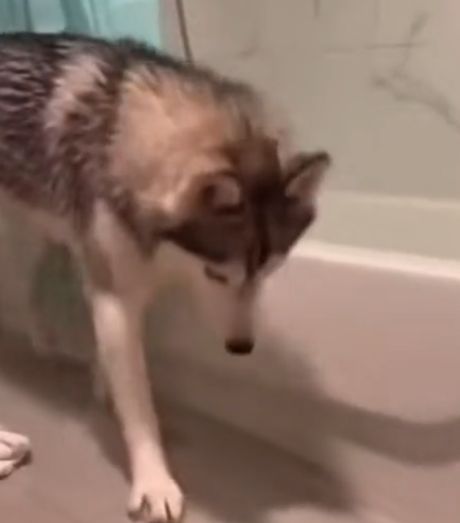 Ой, какой я неловкий!⁠⁠