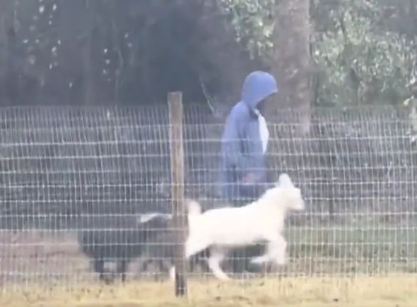 Она пыталась⁠⁠