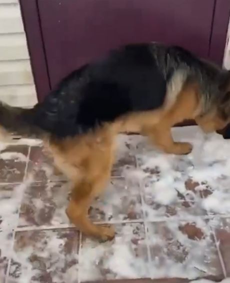 Пригодилось знание немецкого⁠⁠