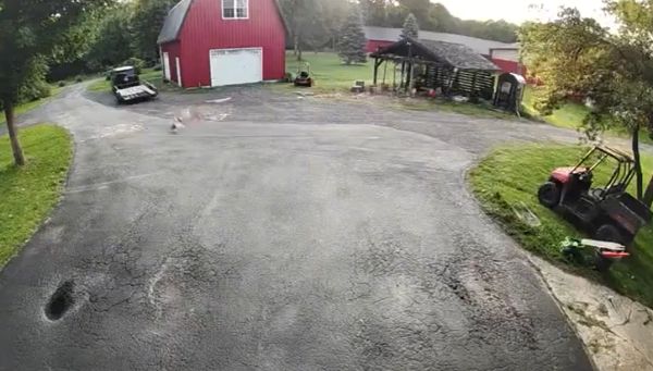 Охранный кот специального назначения