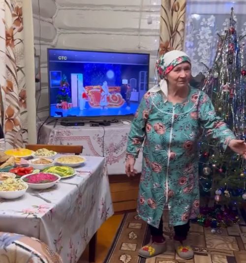 Новый год в деревне⁠⁠