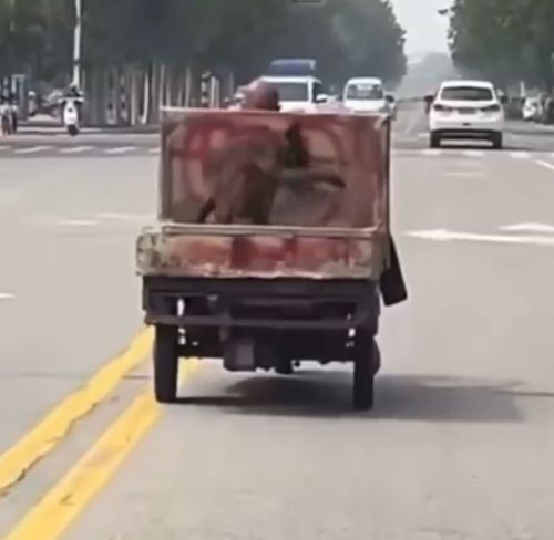 Когда стало скучно ехать⁠⁠