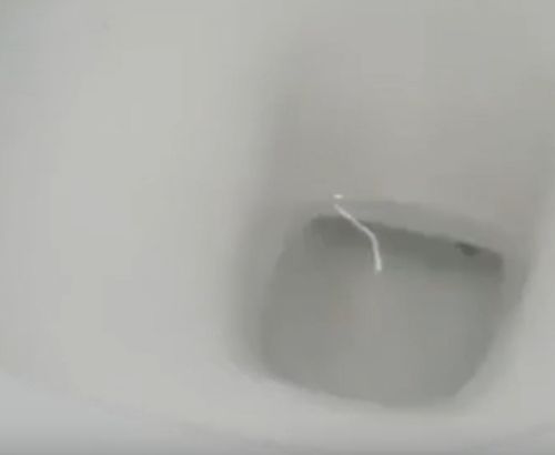 Британский турист заснял ящерицу в Тайланде