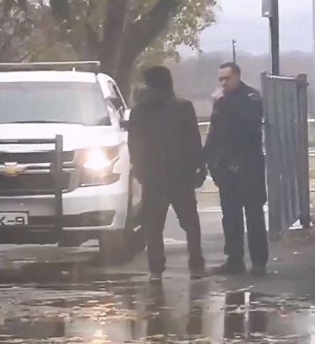 Задержание хулигана