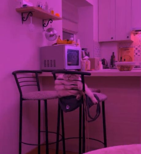 Состояние на утро 2 января