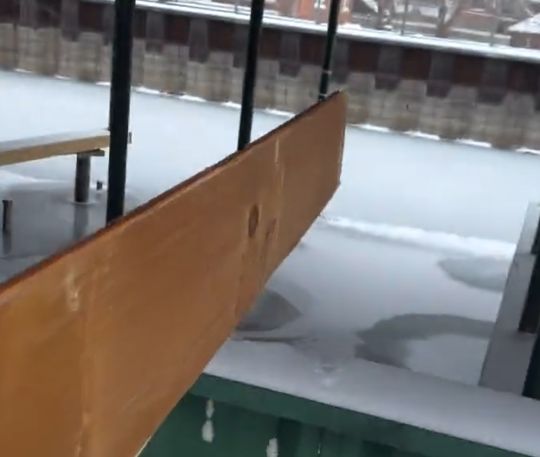 Спас примерзшего котика