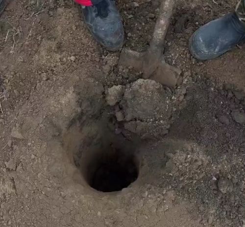 Гадом буду, не забуду. Спасибо мужики