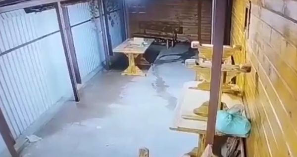 Трое омичей подожгли баню, разозлившись на ее владельцев