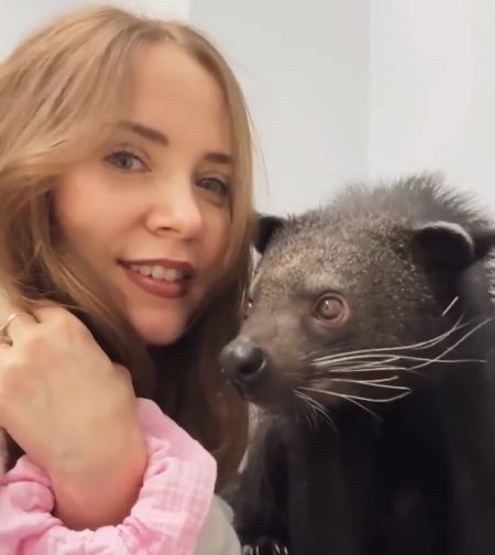 Обзор бинтуронга