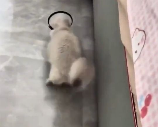 Раньше же пролазил