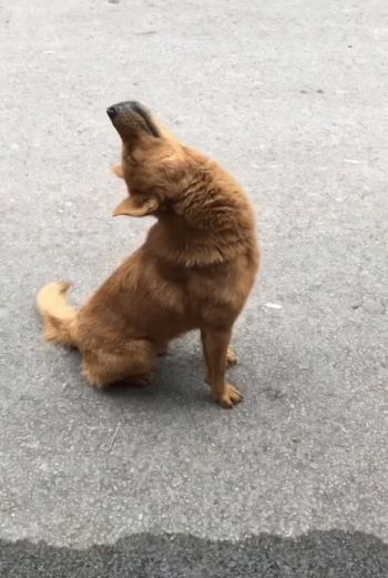 Обычная питерская ситуёвина