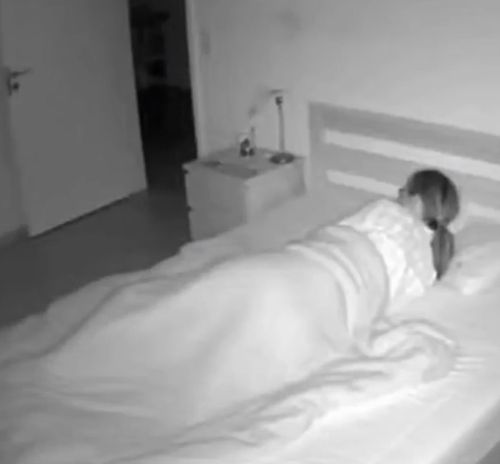 Любой уважающий себя кот каждую ночь