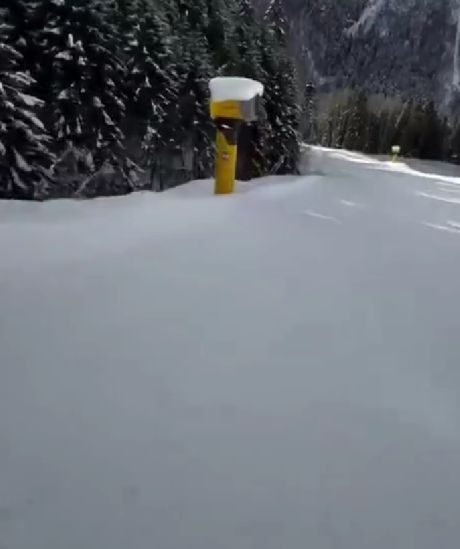 Погоня волка за сноубордистом в Домбае