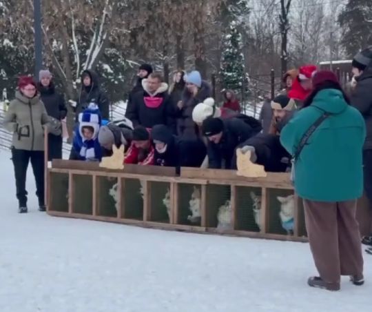 Ничего милее сегодня уже не будет