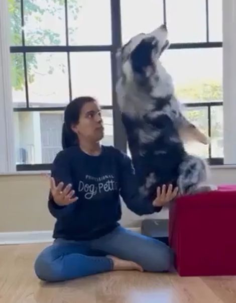 Лучшие друзья