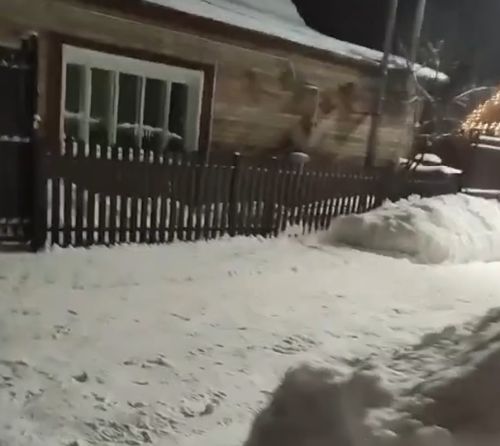 Не делай добра, не получишь зла!⁠⁠