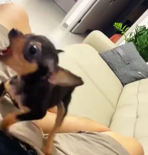 Злые пробники