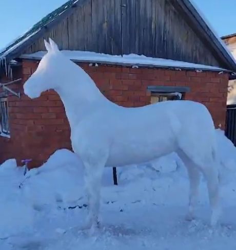 Конь из снега