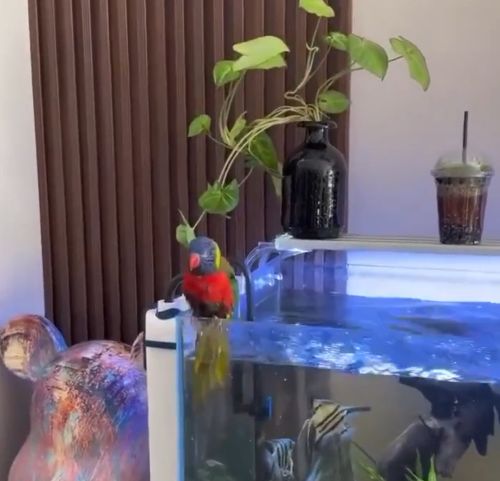 А он знает толк в развлечениях⁠⁠