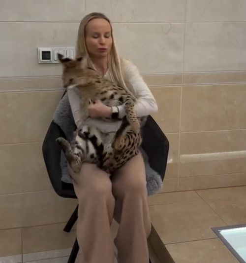 Девушка в одиночку обезоружила мохнатого дикаря