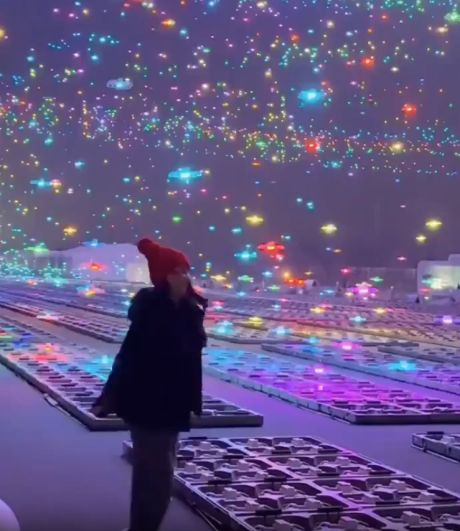 20 000 Дронов возвращаются на базу