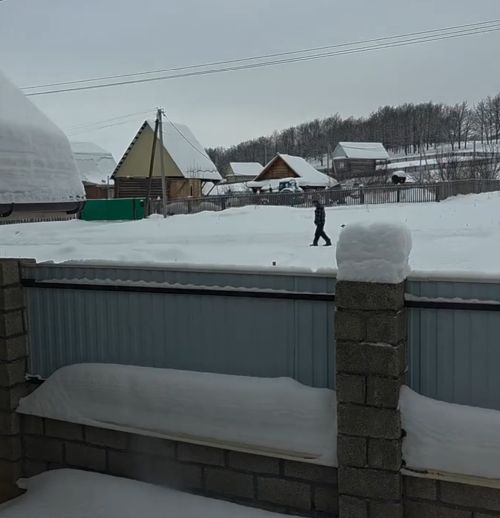 Один серый, другой синий - два весёлых друга⁠⁠