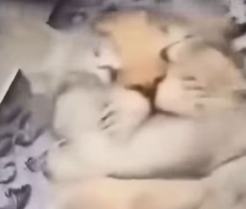 Рентгенолог: "Не бойтесь, рентген не причинит Вам никакого вреда!"⁠⁠