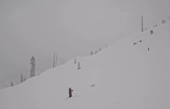 «Остановились передохнуть, а тут лыжи торчат»