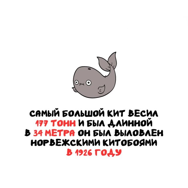 Топ самых интересных фактов, о которых вы точно не слышали