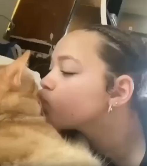 Знай меру, кожаная