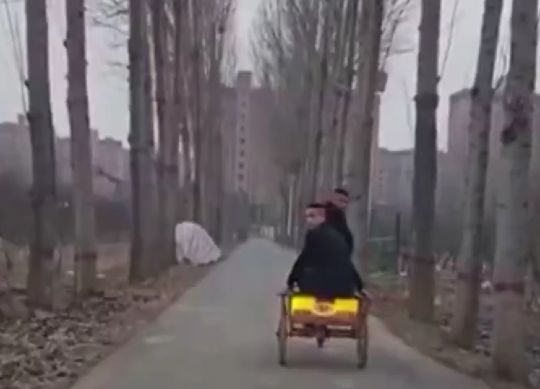 Что пиликаешь?