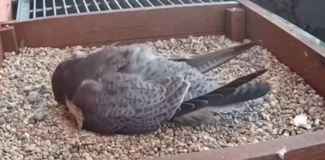 Да епт, обещали ведь солнечно