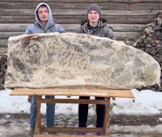 Вкусняшка⁠⁠