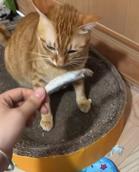 «Оскар» за лучшую актёрскую игру