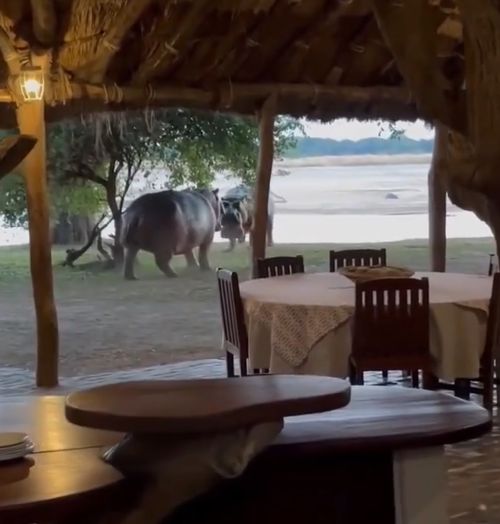 Скажите, а у вашего ресторана проходимость большая?!