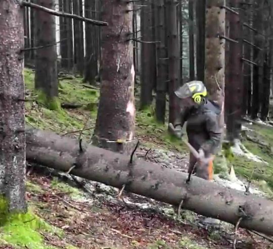 Залипательные видео работы профессионалов