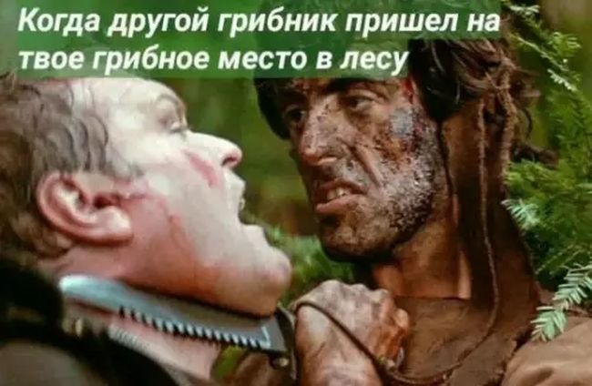 Вечерний юморок 17.02.2026