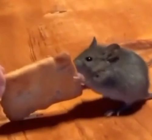 Пятую врубил⁠⁠