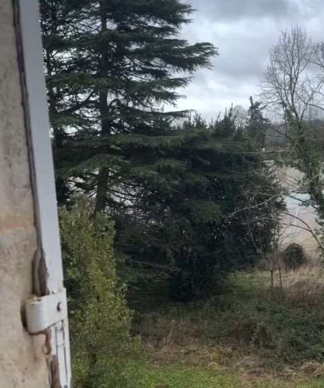 Хотела прогнать алкашей под окном, но там...⁠⁠