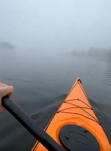 Килограмм канифоли