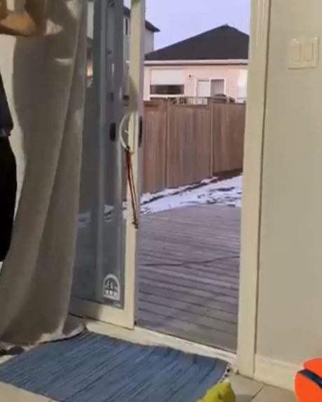 А как вы зовете свою собаку?