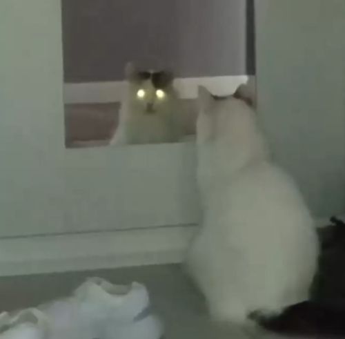 То потухнет, то погаснет⁠⁠