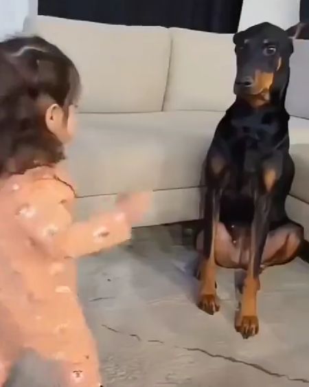 Дети и собакены