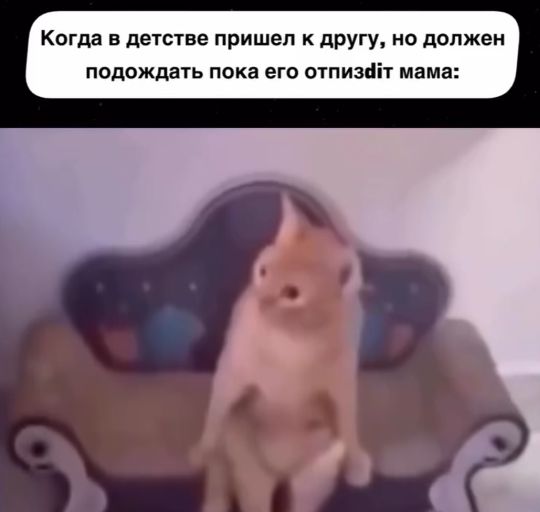 "Я не выйду"⁠⁠