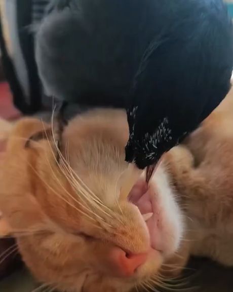 Первый рабочий день после выходных!