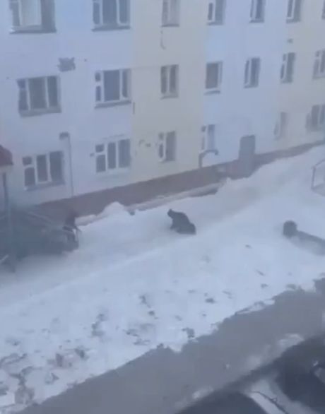 Ветер на Чукотке