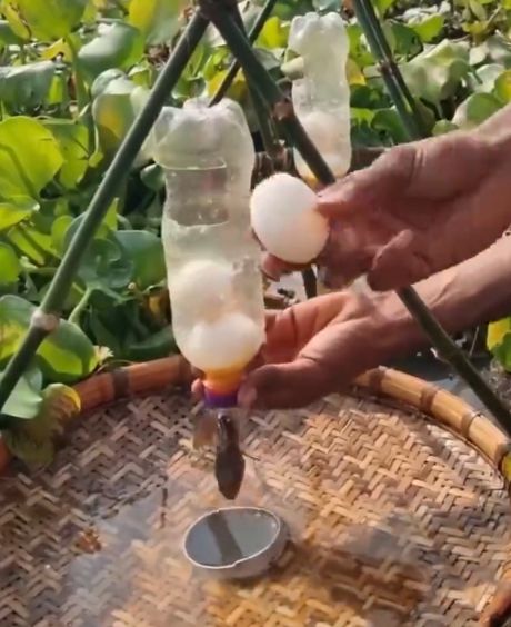 Это законно?