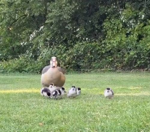 Как много сюжетных линий...