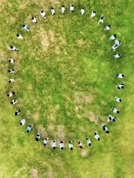 Игра "Гусеница"⁠⁠